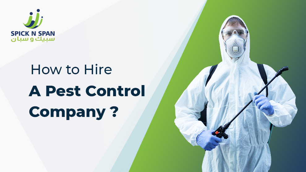 How to Hire a Pest Control Company